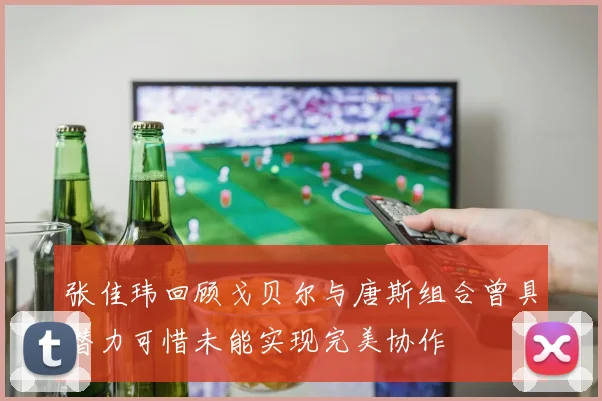 张佳玮回顾戈贝尔与唐斯组合曾具潜力可惜未能实现完美协作