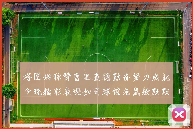 塔图姆称赞普里查德勤奋努力成就今晚精彩表现如同球馆老鼠般默默付出